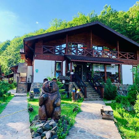 פוליאנה Chalet Vedmezhe מראה חיצוני תמונה