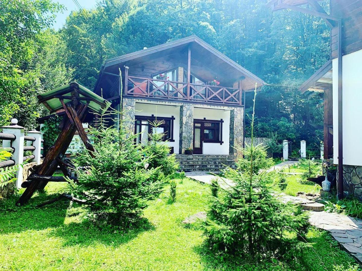 פוליאנה Chalet Vedmezhe מראה חיצוני תמונה