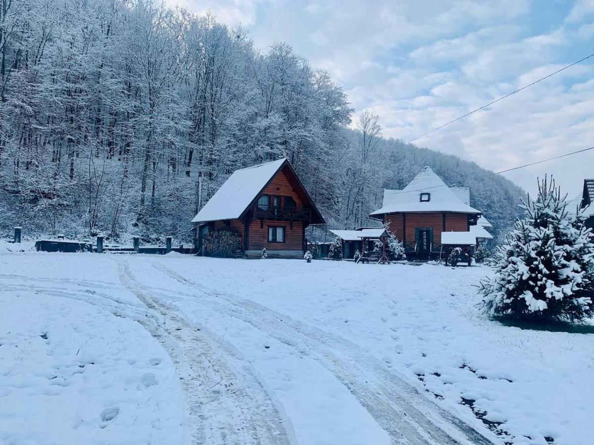 פוליאנה Chalet Vedmezhe מראה חיצוני תמונה