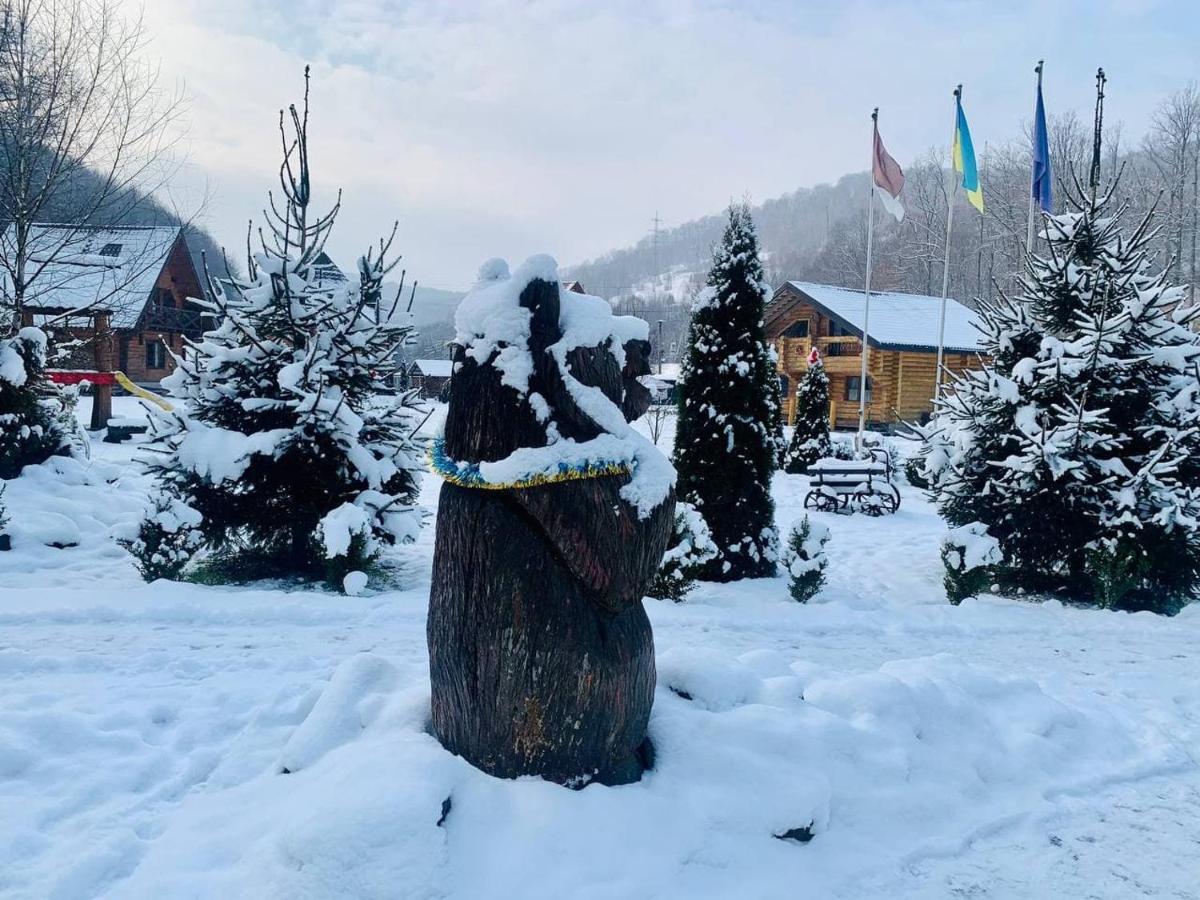 פוליאנה Chalet Vedmezhe מראה חיצוני תמונה