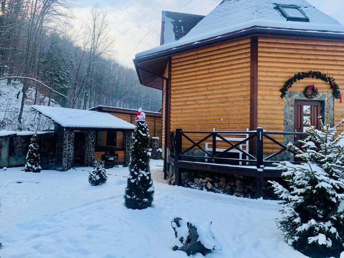 פוליאנה Chalet Vedmezhe מראה חיצוני תמונה