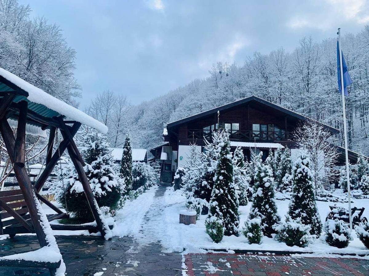 פוליאנה Chalet Vedmezhe מראה חיצוני תמונה