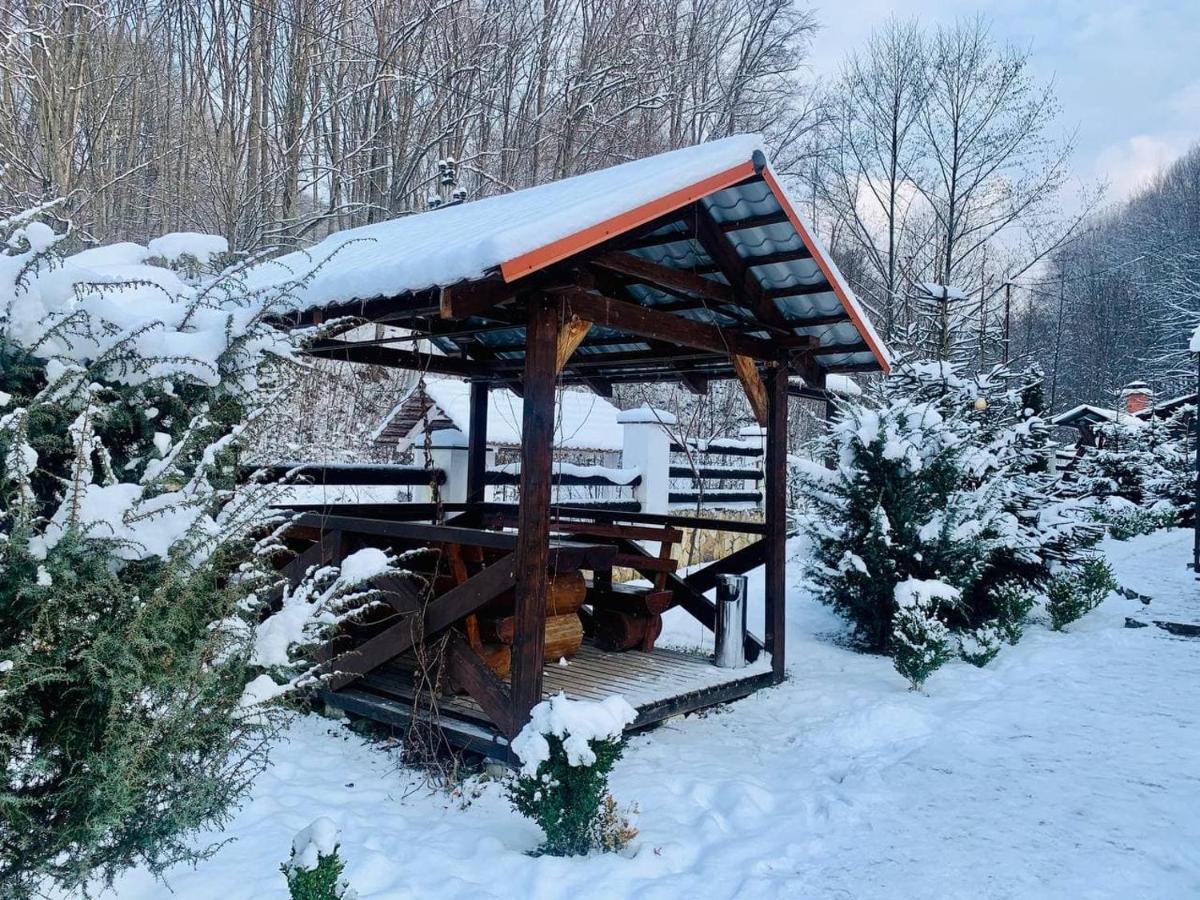 פוליאנה Chalet Vedmezhe מראה חיצוני תמונה