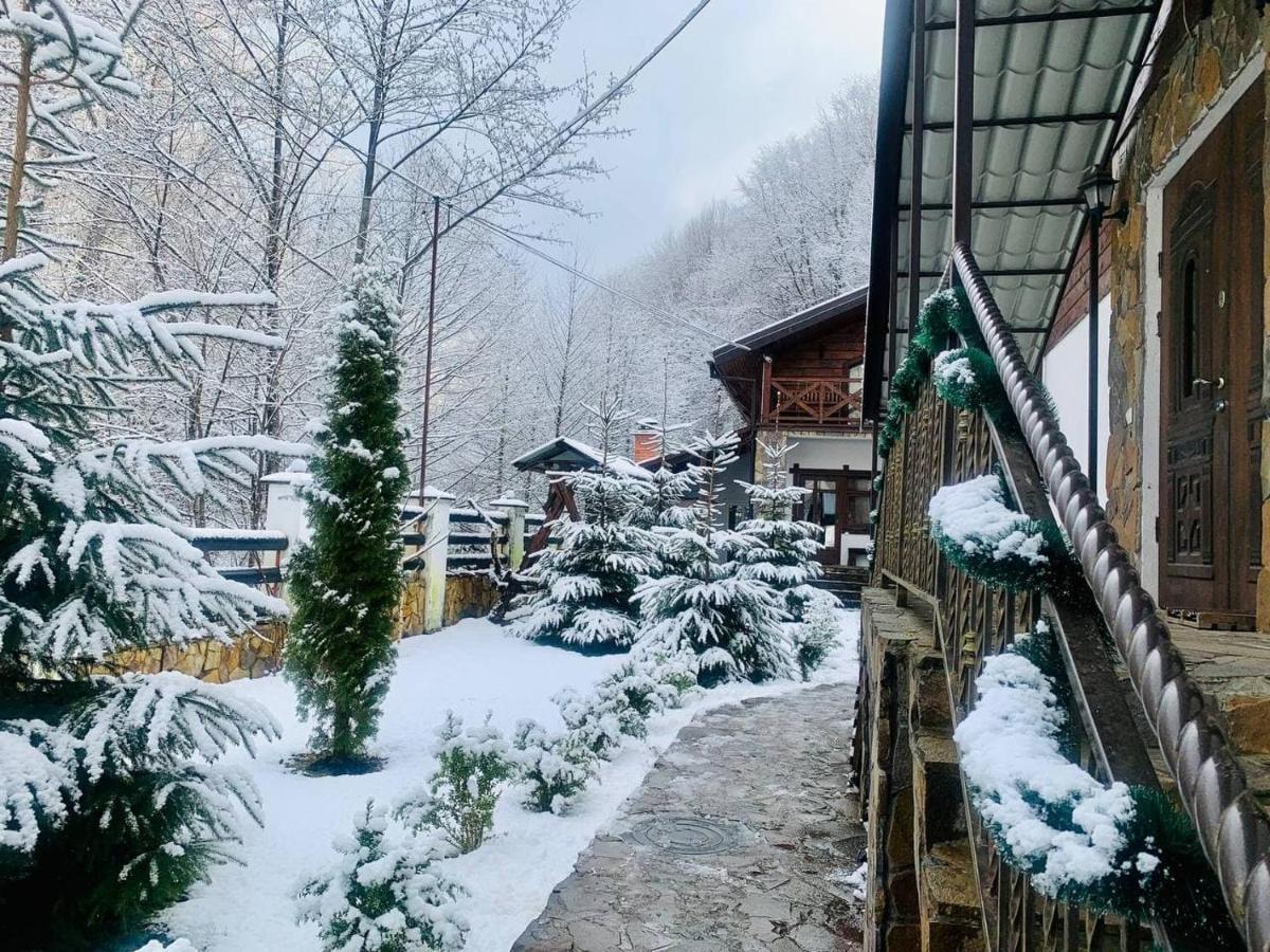 פוליאנה Chalet Vedmezhe מראה חיצוני תמונה