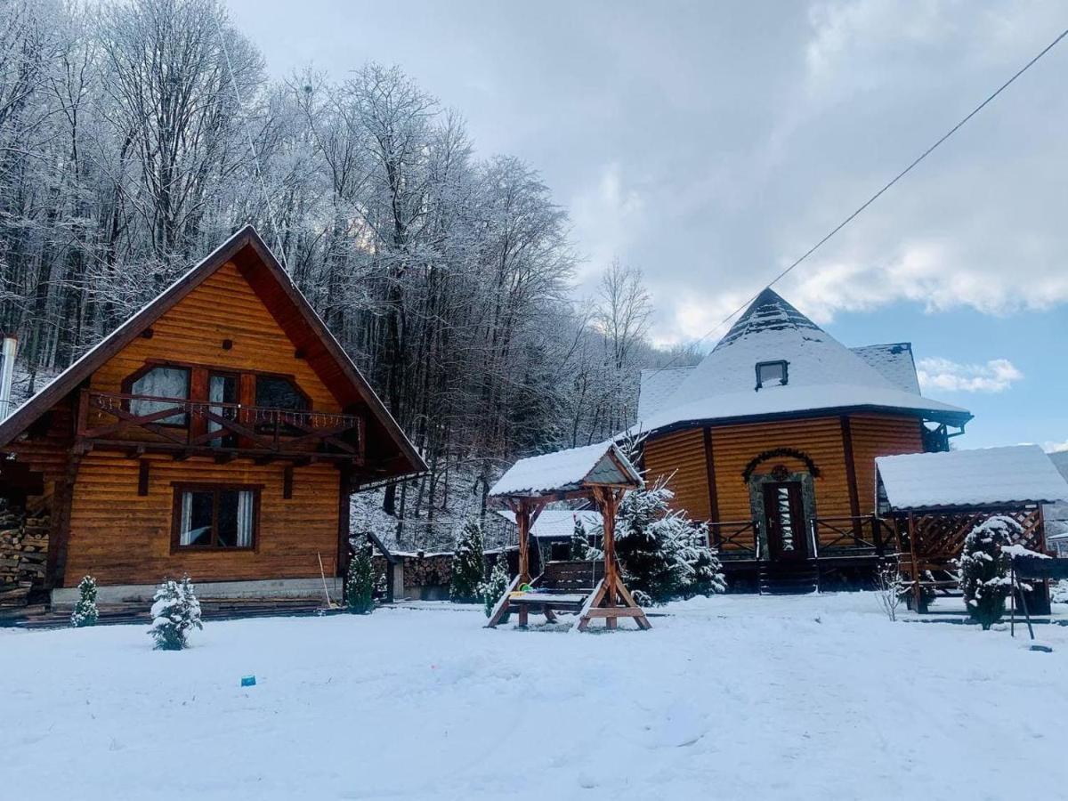 פוליאנה Chalet Vedmezhe מראה חיצוני תמונה