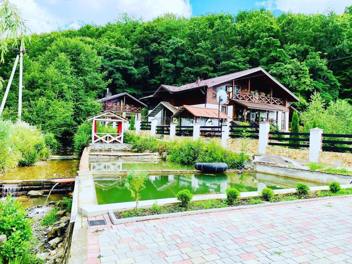פוליאנה Chalet Vedmezhe מראה חיצוני תמונה