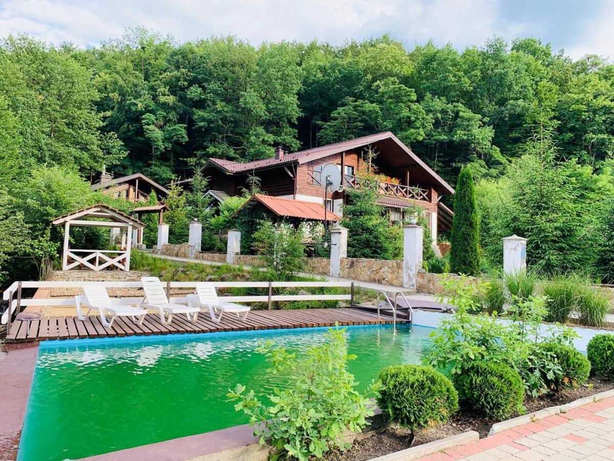 פוליאנה Chalet Vedmezhe מראה חיצוני תמונה